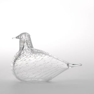 Birds Mediator Dove 0634