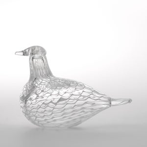 Birds Mediator Dove 0635