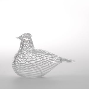 Birds Mediator Dove 0636