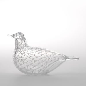 Birds Mediator Dove 0637