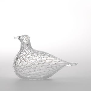 Birds Mediator Dove 0638