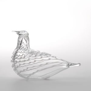 Birds Mediator Dove 0639
