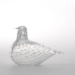 Birds Mediator Dove 0640