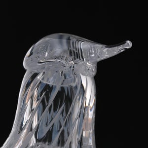 Birds Mediator Dove 0559