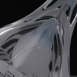 Birds Mediator Dove 0563