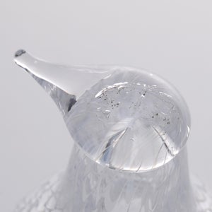 Birds Mediator Dove 0596