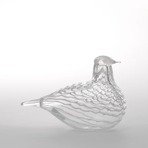 Birds Mediator Dove 0558