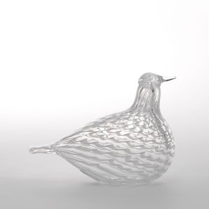 Birds Mediator Dove 0559