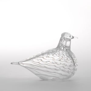 Birds Mediator Dove 0560