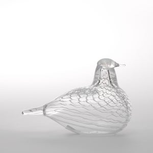 Birds Mediator Dove 0561