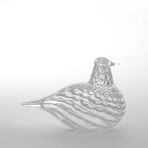 Birds Mediator Dove 0563