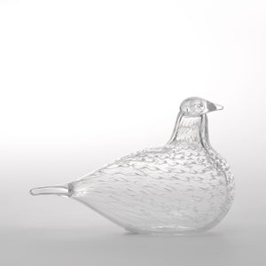 Birds Mediator Dove 0567