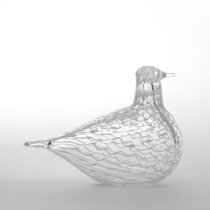 Birds Mediator Dove 0569