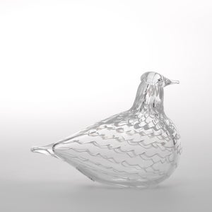 Birds Mediator Dove 0595