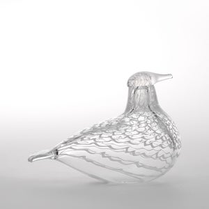 Birds Mediator Dove 0596