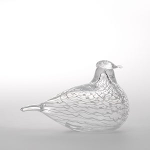 Birds Mediator Dove 0597