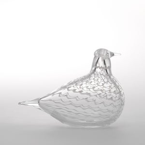 Birds Mediator Dove 0598