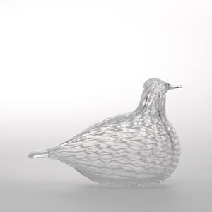 Birds Mediator Dove 0599