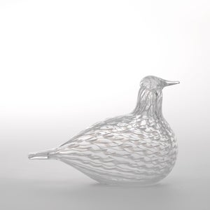 Birds Mediator Dove 0600