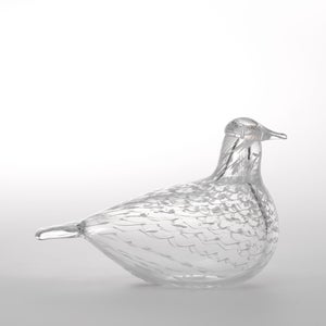 Birds Mediator Dove 0601