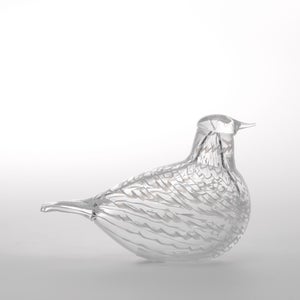 Birds Mediator Dove 0603