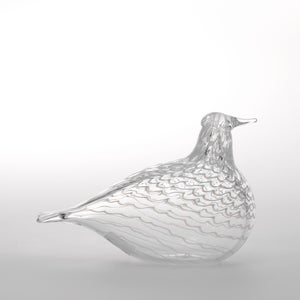 Birds Mediator Dove 0605