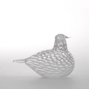 Birds Mediator Dove 0609