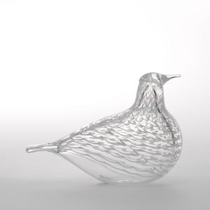 Birds Mediator Dove 0610