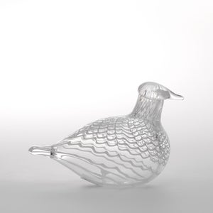 Birds Mediator Dove 0612