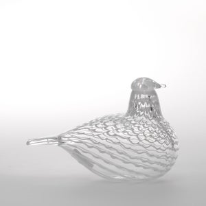 Birds Mediator Dove 0613