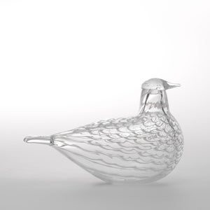 Birds Mediator Dove 0625