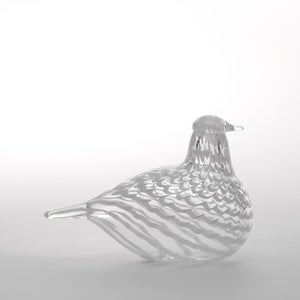 Birds Mediator Dove 0626