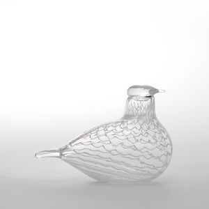 Birds Mediator Dove 0628