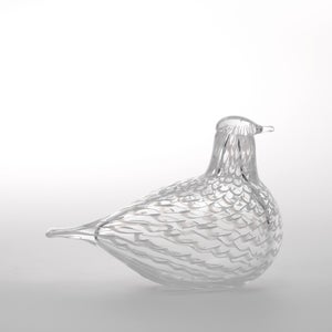 Birds Mediator Dove 0631