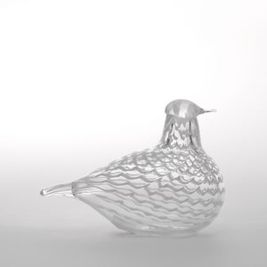Birds Mediator Dove 0633