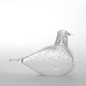 Birds Mediator Dove 0634