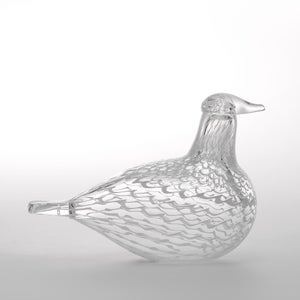 Birds Mediator Dove 0635