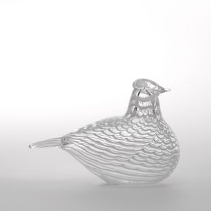 Birds Mediator Dove 0636