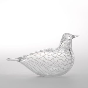 Birds Mediator Dove 0637