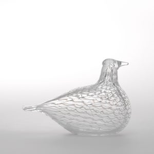Birds Mediator Dove 0638