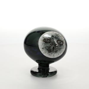 Birds Night owl ダークグレー 0005