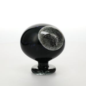 Birds Night owl ダークグレー 0032