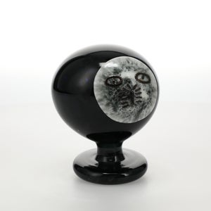 Birds Night owl ダークグレー 0067