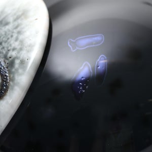 Birds Night owl ダークグレー 0022