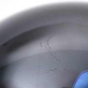 Birds Night owl ダークグレー 0055