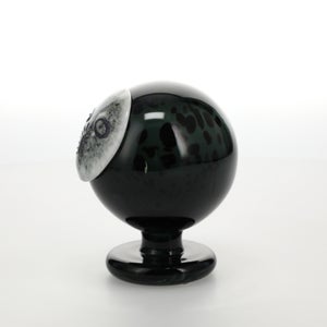 Birds Night owl ダークグレー 0041