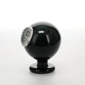 Birds Night owl ダークグレー 0042