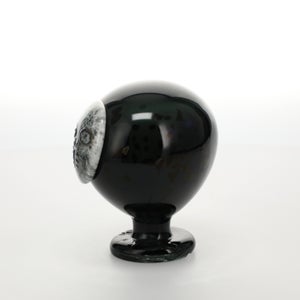 Birds Night owl ダークグレー 0050