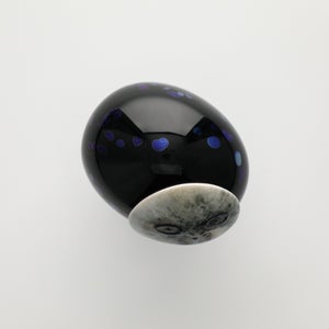 Birds Night owl ダークグレー 0043