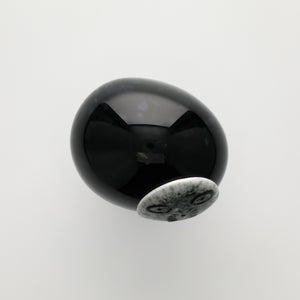 Birds Night owl ダークグレー 0059